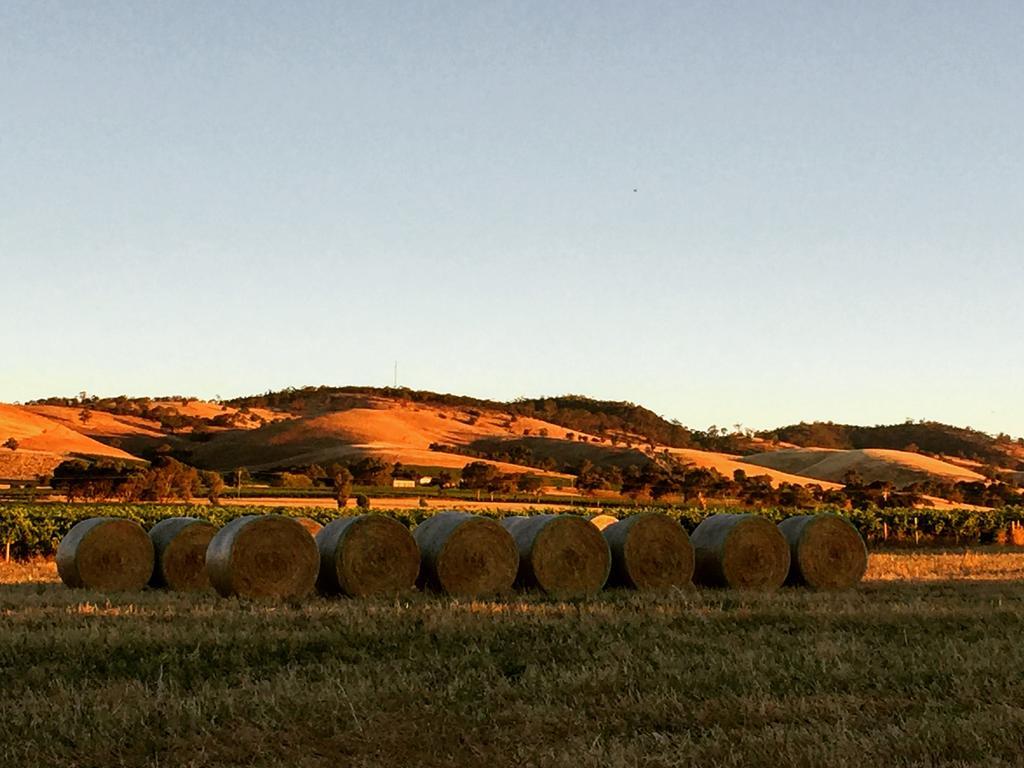 Barossa Vineyard Cottages Tanunda Exterior foto