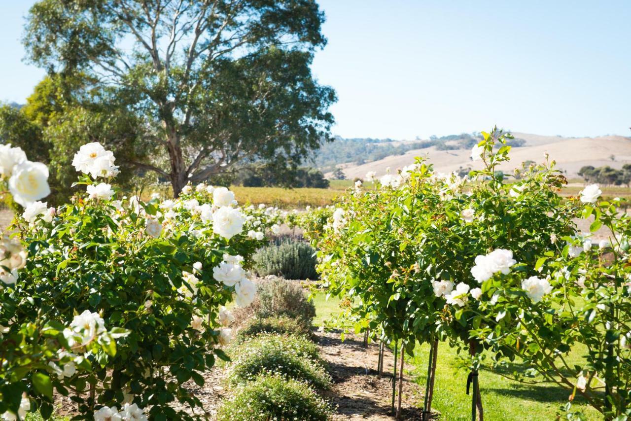 Barossa Vineyard Cottages Tanunda Exterior foto