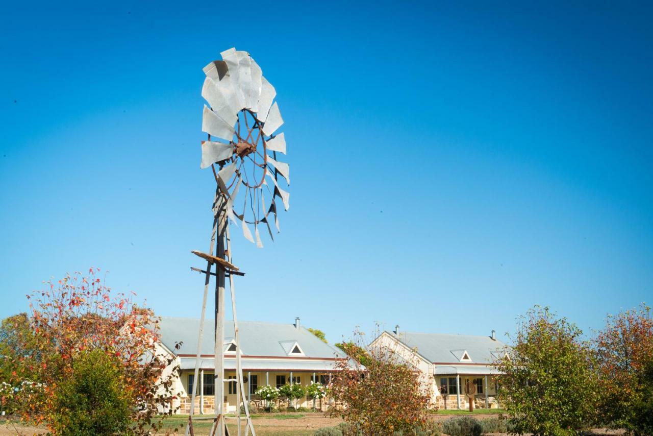 Barossa Vineyard Cottages Tanunda Exterior foto